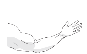 ilustração de um braço, que representa a descrição a seguir