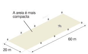 Imagem da área de competição do hipismo para o grau 4, com 60m de comprimento e 20m de largura