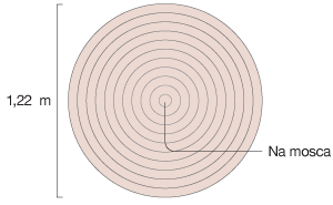 Imagem de um alvo de 1,22 m de diâmetro com círculos concêntricos.
