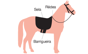 imagem de equipamentos necessários para o cavalo de cce: sela, rédea e barrigueira