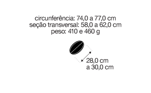 Especificações da bola. Circunferência: 74,0 a 77,0 cm; Seção transversal: 58,0 a 62,0 cm; Peso: 410 e 460 g. Mede de 28 a 30 cm.